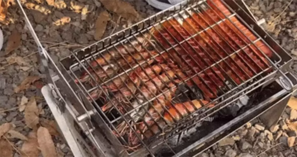 Döndürülebilen ve katlanabilen barbekü ızgarası Kore dalga kamp çılgınlığını tetikliyor